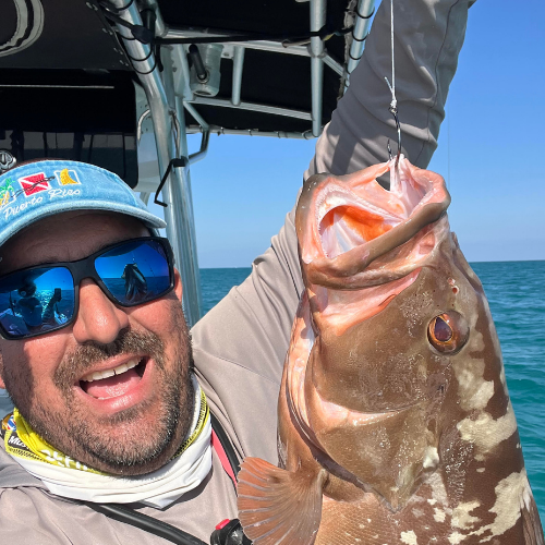 Black Mutsu Light  #3/0 , Crane Swivel Size #3 250, Crane Swivel Size #5 200 lb.