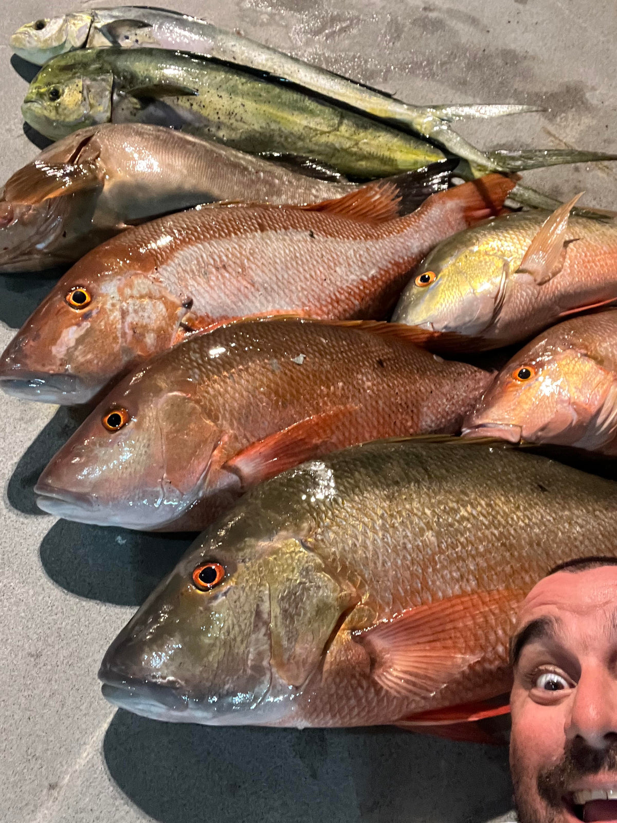 Arreglo de Pargo  Rig 100 lb