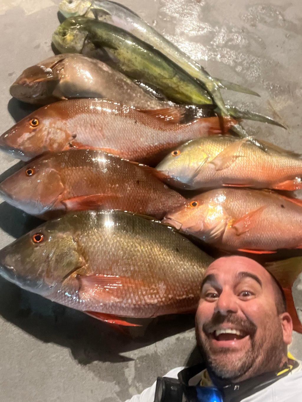 Arreglo del Pargo  Rig 80 lb